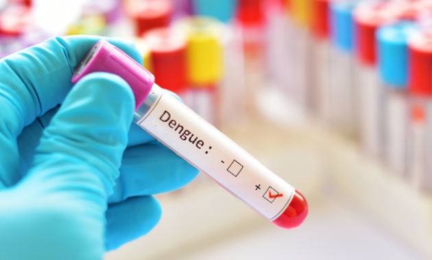 Explore Blood Test for Dengue – Everything You Need To Know
