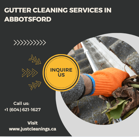 Gutter Cleaning Services in Abbotsford