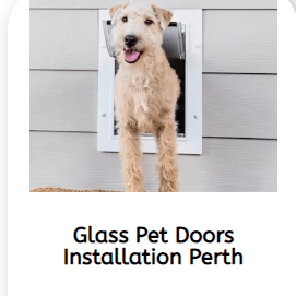 Glass Pet Door Installation
